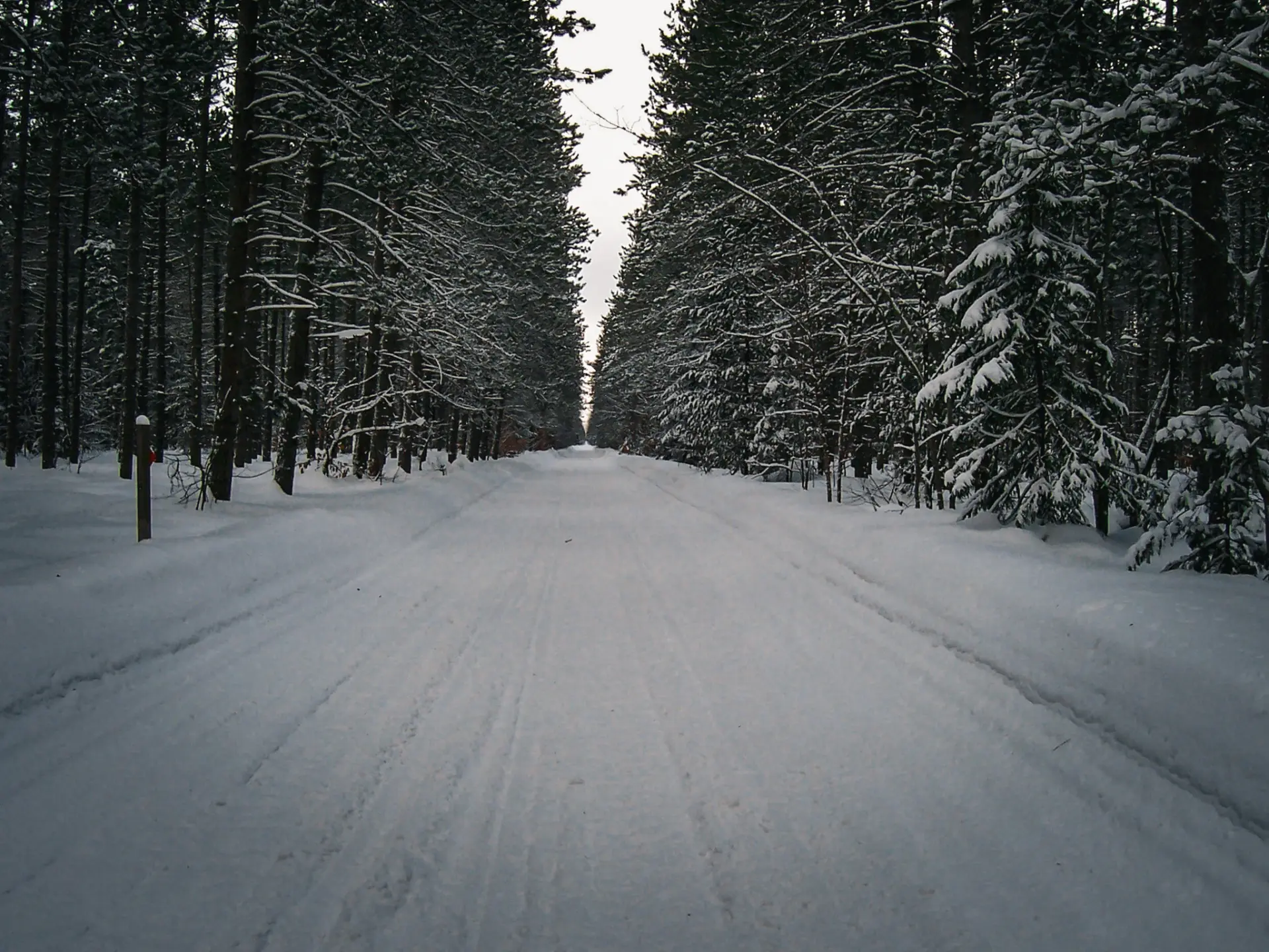 Winter Solstice: Peace, solitude and stillness