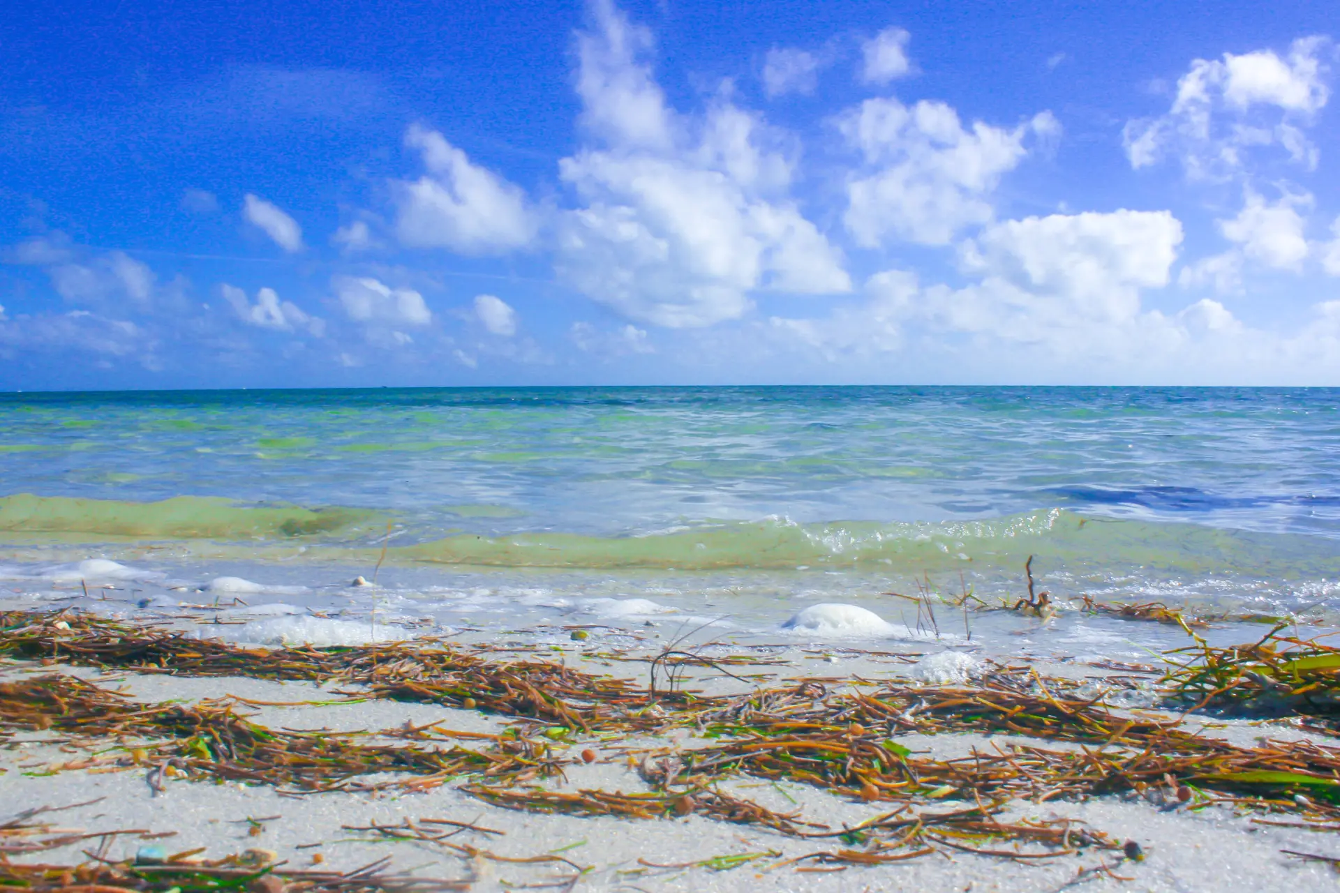 Key West: Paradise only a few miles away